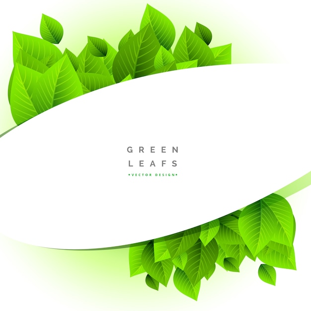 Vector modern green leaves design