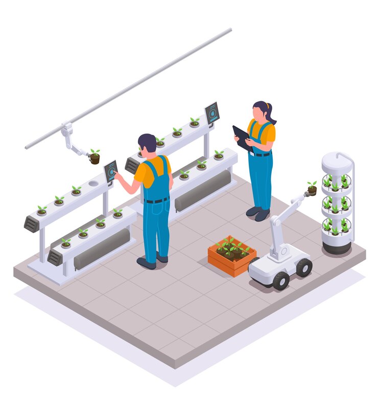 Vector modern greenhouse isometric and colored concept