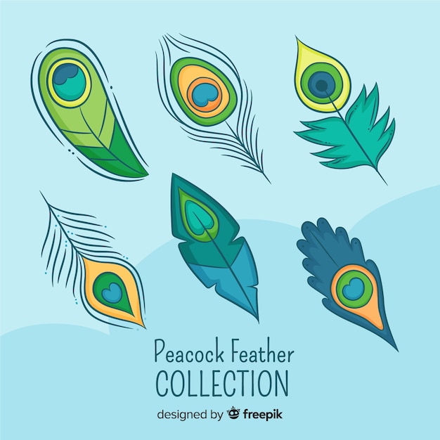 Vector modern hand drawn peacock feather collection