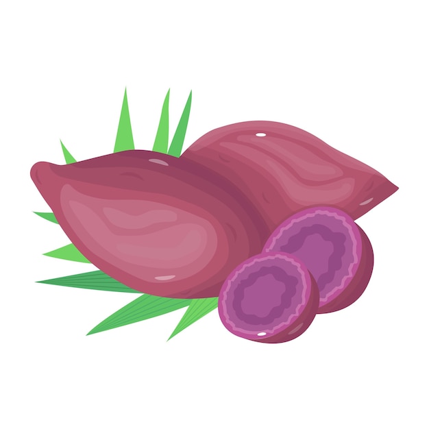 A modern isometric icon of beetroots root vegetable