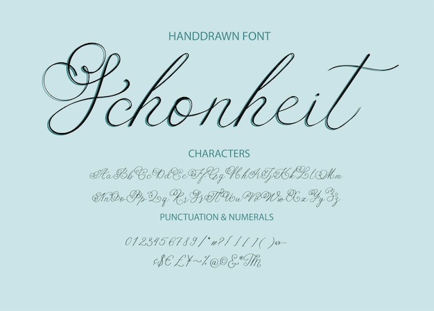 Vector modern kalligrafisch lettertype borstel geschilderde letters