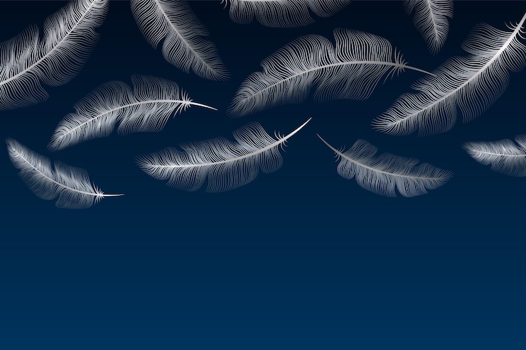 Vector modern luxury background for banner or presentation or greeting card with silver feathers on blue