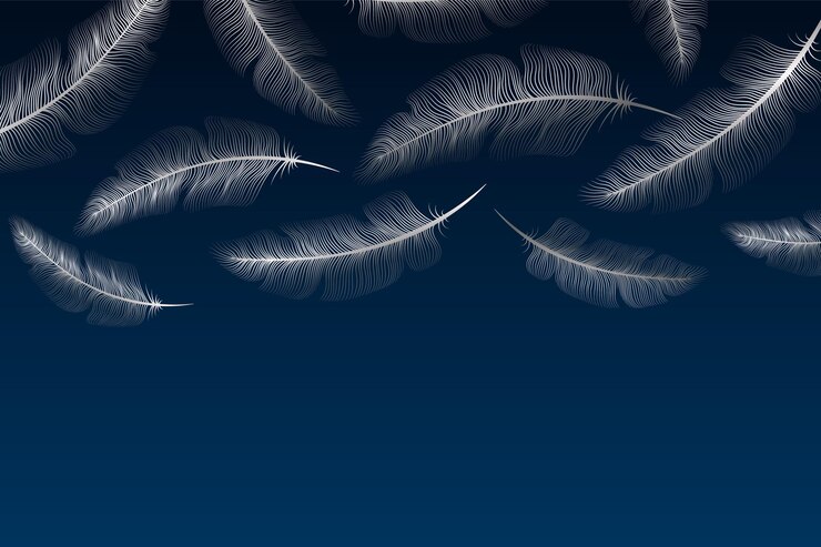 Vector modern luxury background for banner or presentation or greeting card with silver feathers on blue