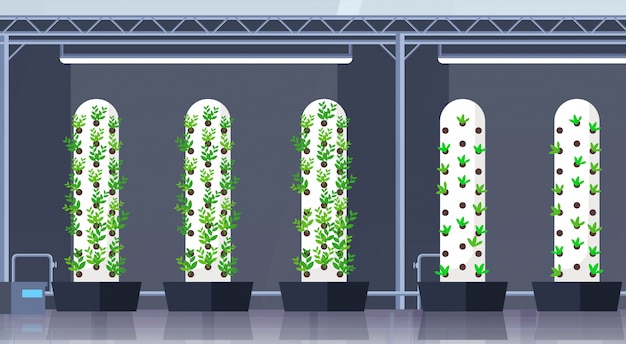 Modern organic hydroponic vertical farm interior agriculture smart farming system concept green plants growing industry horizontal