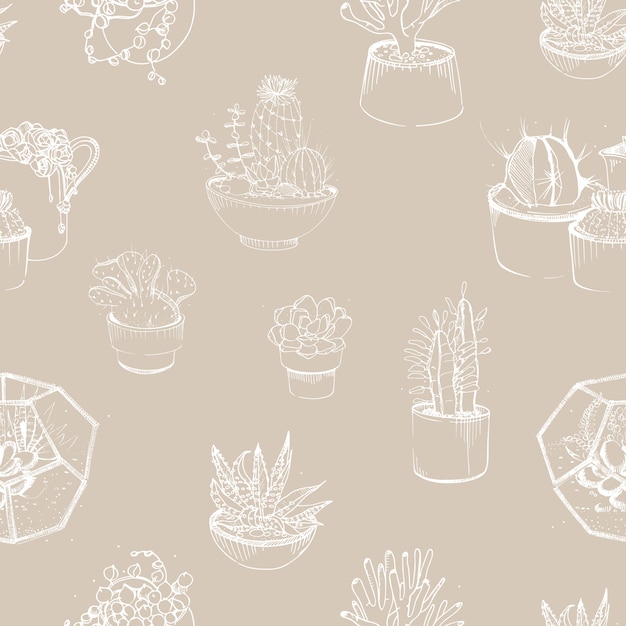 Modern pattern with succulent outlines hand drawn. Desert plants growing in clay pots and glass vivariums.