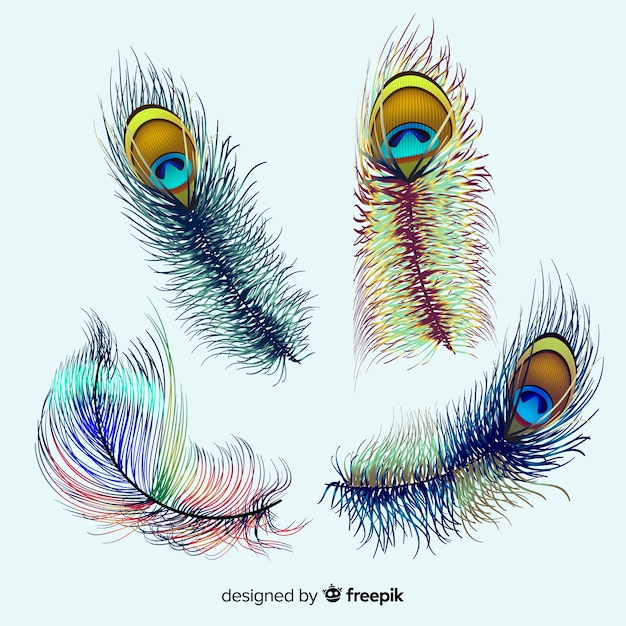 Vector modern peacock feather collection with realistic design