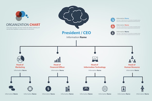 Vector modern and smart organization chart in vector style