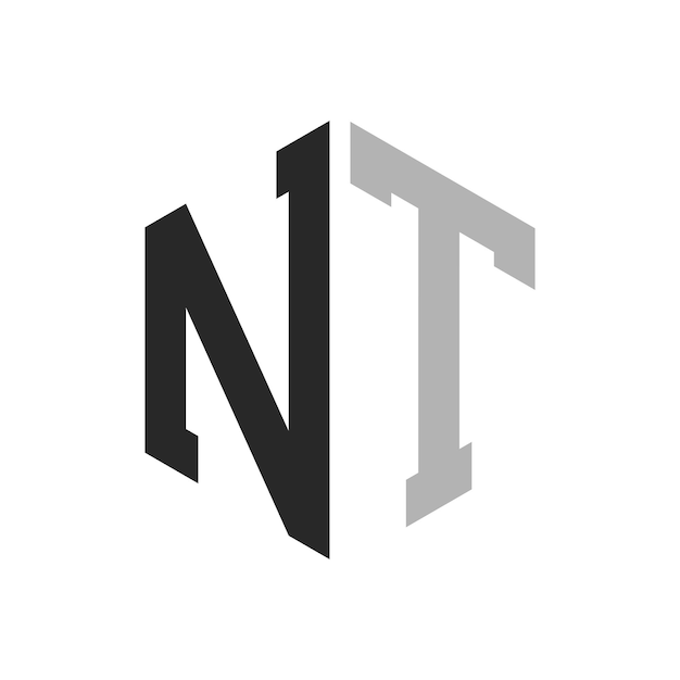 현대적인 독특한 육각형 글자 NT 로고 디자인 템플릿 우아한 초기 NT 글자 로고 개념