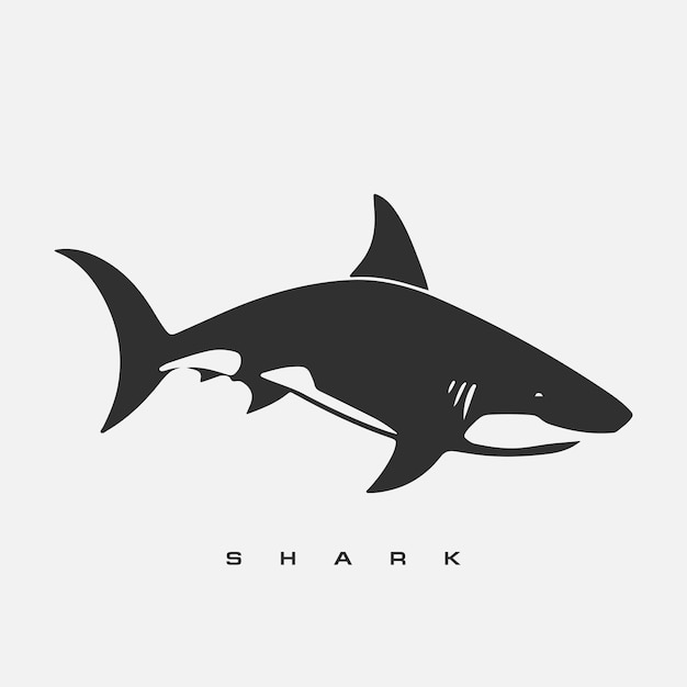 Modern vector shark logo template