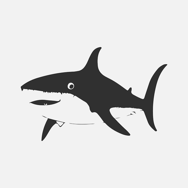 Vector modern vector shark logo template