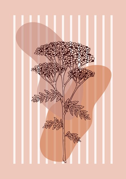 Moderne bloemen esthetische bloemen evenwicht poster Hand getrokken vectorillustratie