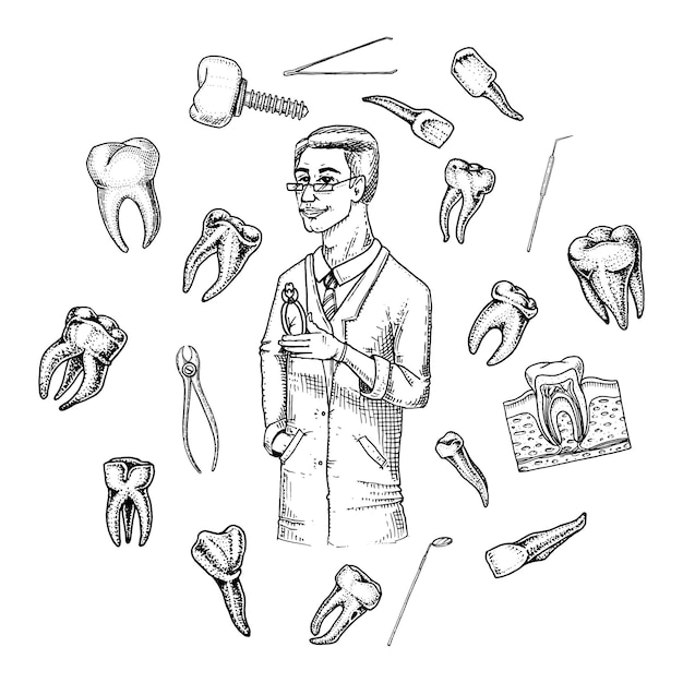 Vector molaire tanden glazuur tandheelkundige set instrumenten uitrusting van de tandarts arts mondholte schoon of ziek gezondheid of cariës mens gegraveerd hand getekend in oud of schets geneeskunde zorg voor holte implantaat