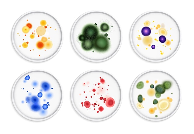 곰팡이 곰팡이 박테리아 식민지는 색상 벡터 일러스트레이션에서 다양한 곰팡이 생명체의 둥근 이미지가 있는 현실적인 세트를 찾습니다.