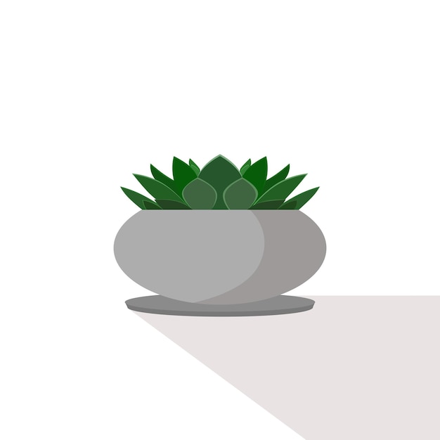 Molded wax agave that thrives in pots is a decorative garden concept plant ornamental plant vector