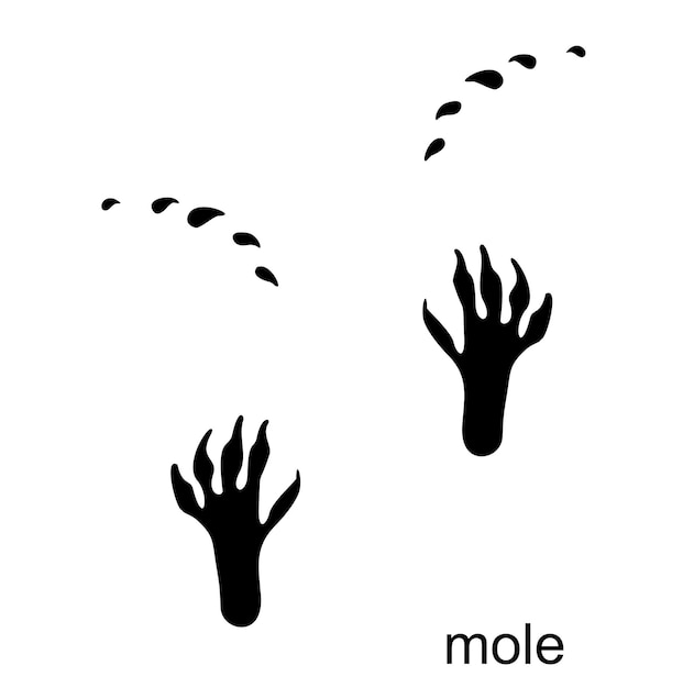Mole footprint mole track mole steps handprint in colore nero per poster biglietti d'auguri copertina del libro