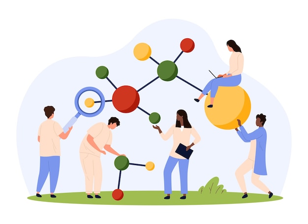 Vector moleculaire structuur en genetisch onderzoek kleine mensen werken aan de analyse van moleculaire modellen