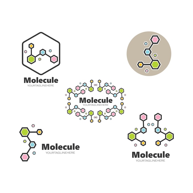 Vector molecule logo vector illustration design