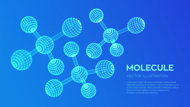 Vector molecule structure template