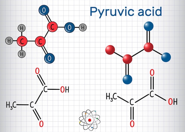 Molecule van pyruvinezuurpyruvaat Structurele chemische formule en molecuulmodel