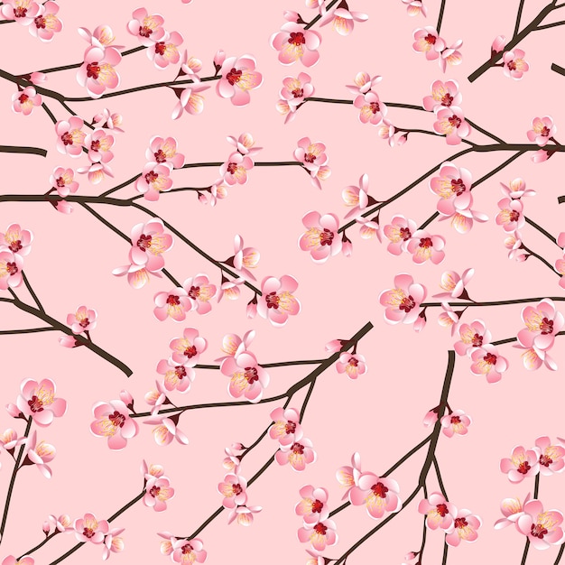 Vector momo peach flower blossom seamless on pink background