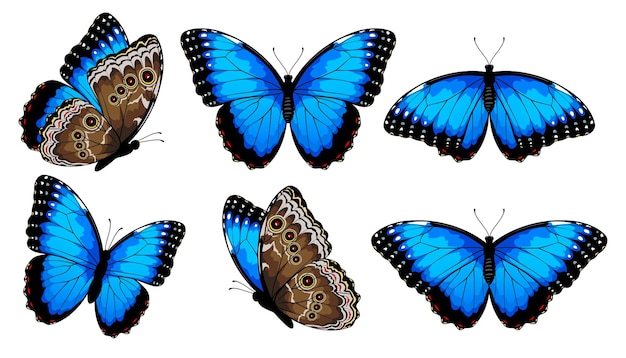 Бабочки монарха устанавливают векторную иллюстрацию на белом фоне