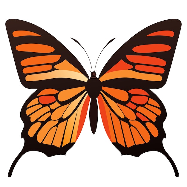 Vector monarch butterfly artistry a designer's delight