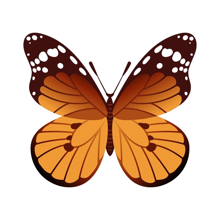 Vector monarch butterfly danaus plexippus features vibrant known for its impressive migrations this iconic