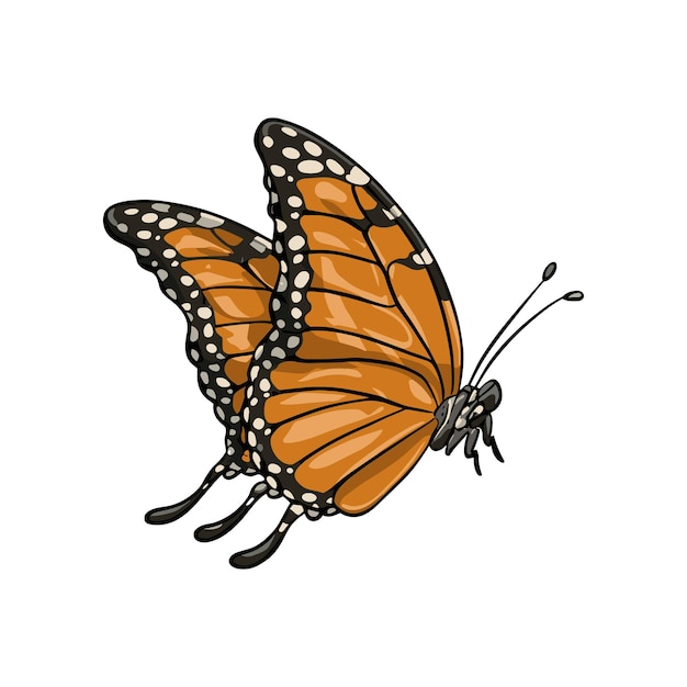 Monarch butterfly flying illustration