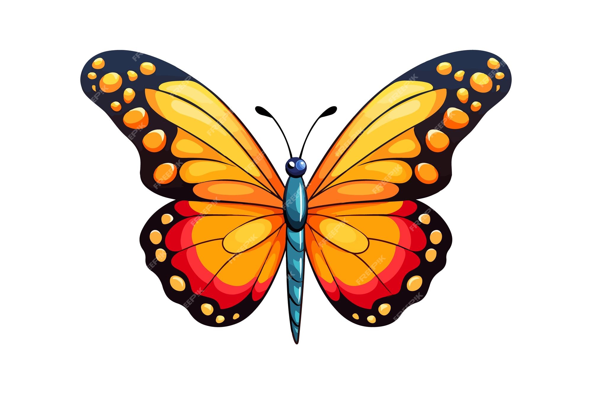 Premium Vector | Monarch butterfly isolated on white background