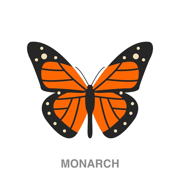 Monarch illustration on transparent background