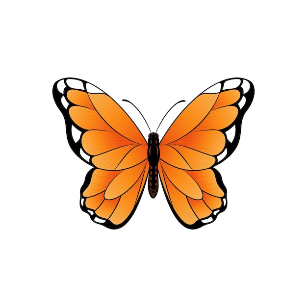 Monarchvlinder Vectorillustratie Prachtige tropische vlinder