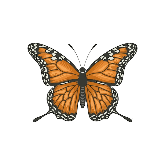 Monarchvlinder vliegende vectorillustratie