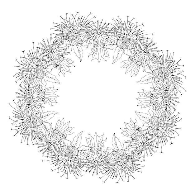 Круглая рамка цветка монарды изолирована на белом фоне векторной иллюстрации
