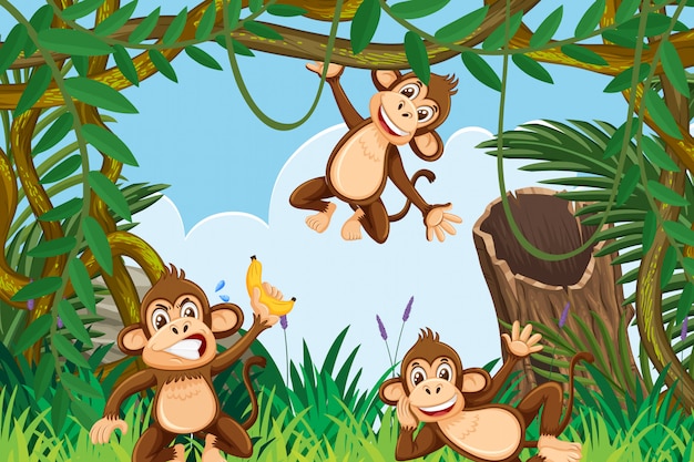 Vector moneky in jungle scene