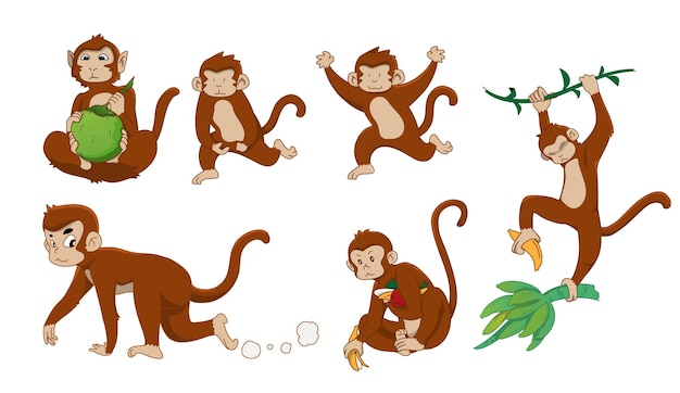 Vector monkey in 6 action vector illustration