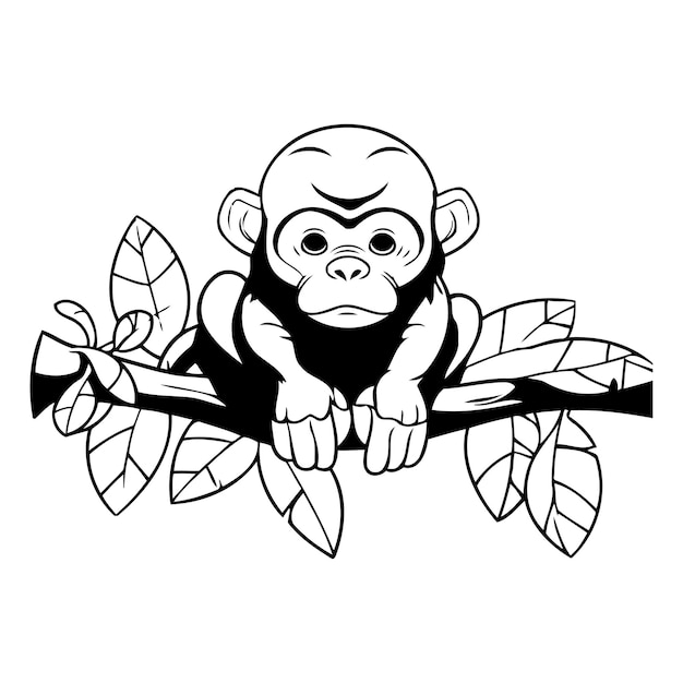 Vector monkey cartoon icon animal cute zoo life and nature theme isolated design vector illustration