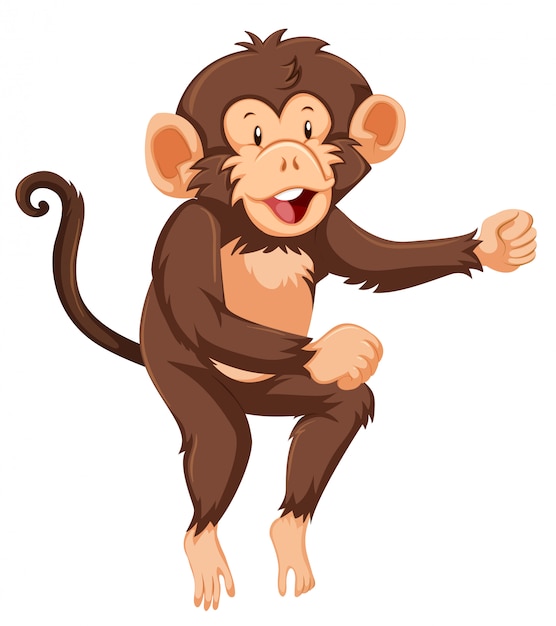 A monkey character on white background