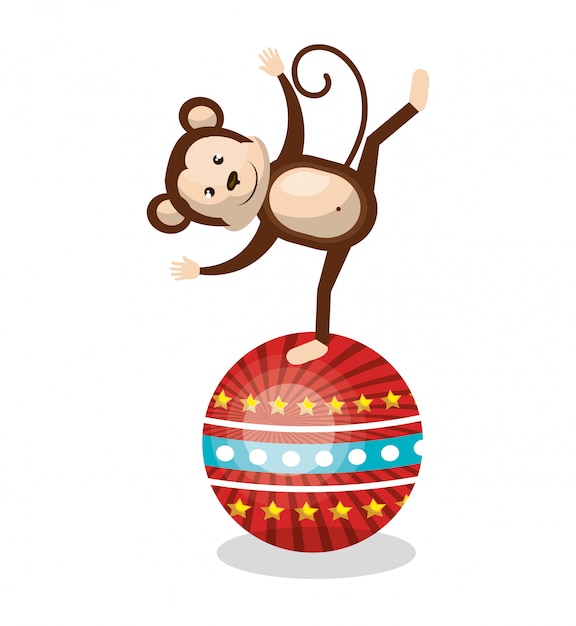 Monkey circus animal show isolated icon