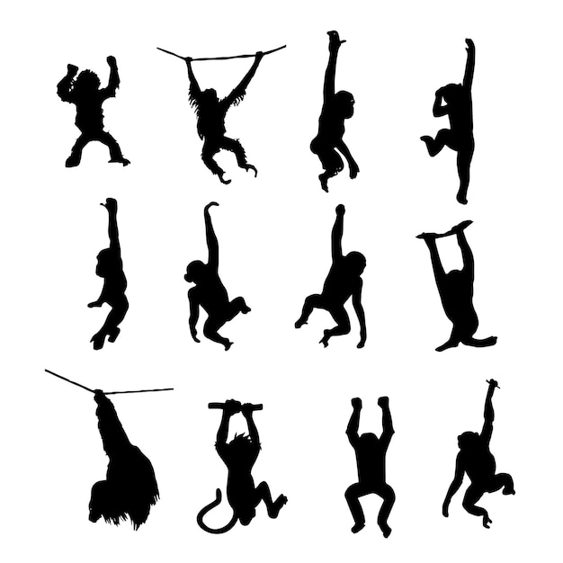 Vettore collezione di disegni a silhouette in posizione di arrampicata di scimmia