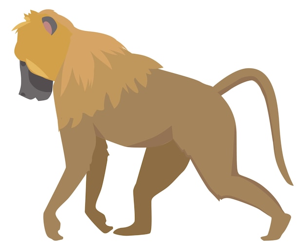 Monkey color icon Jungle animal Wild primate