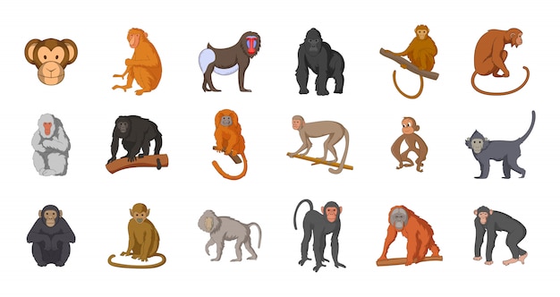 Vector monkey element ingesteld. cartoon set monkey vector-elementen