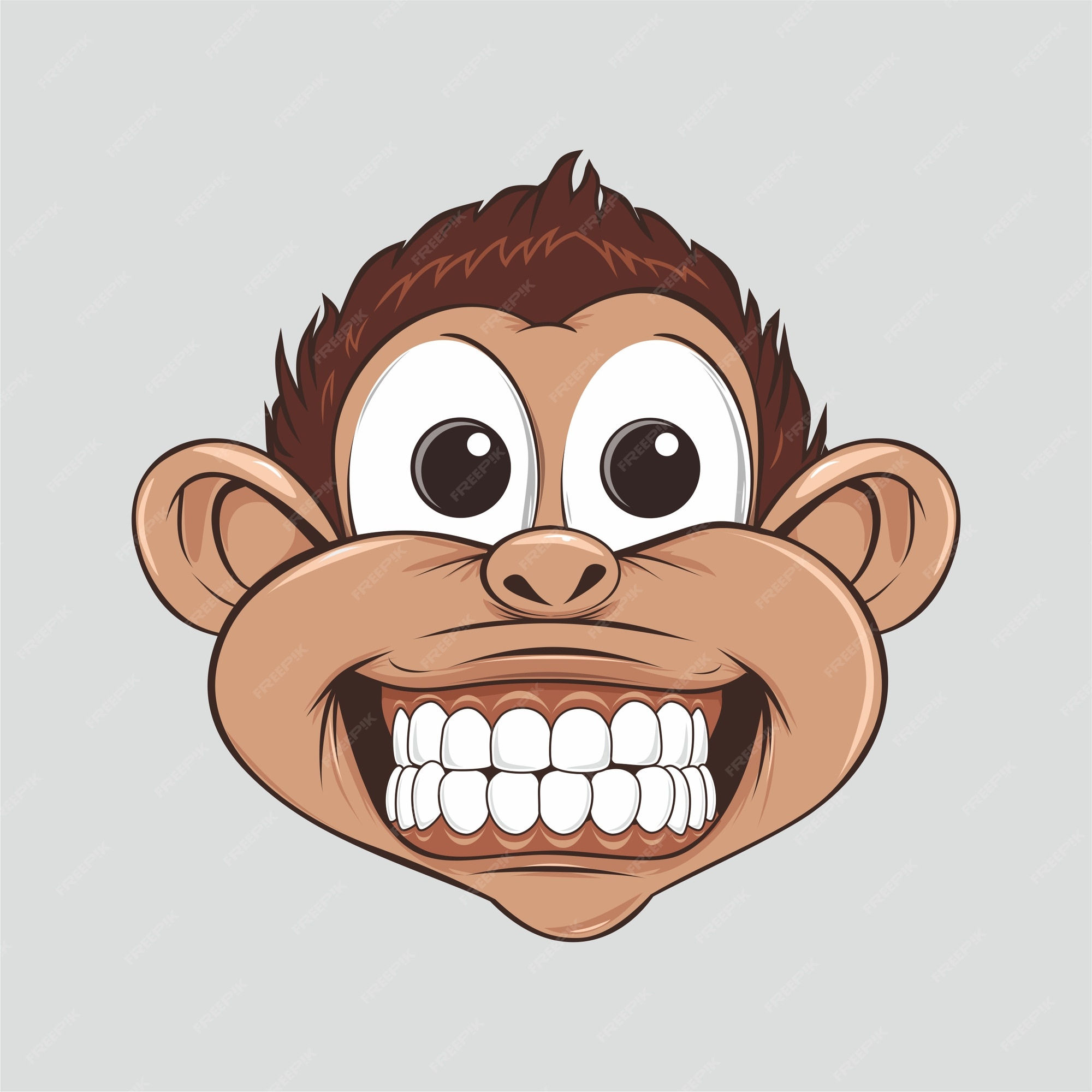 cute smiling monkey