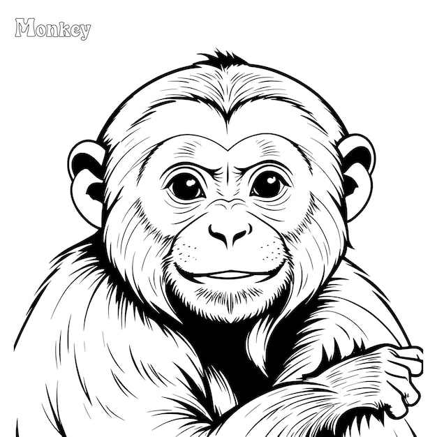 Vector monkey hand drawn coloring page and outline vector design