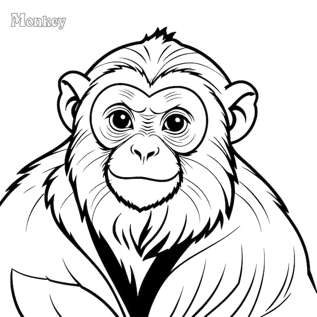 Vector monkey hand drawn coloring page and outline vector design