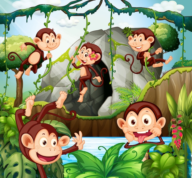 Vector monkey hanging on vine in forest