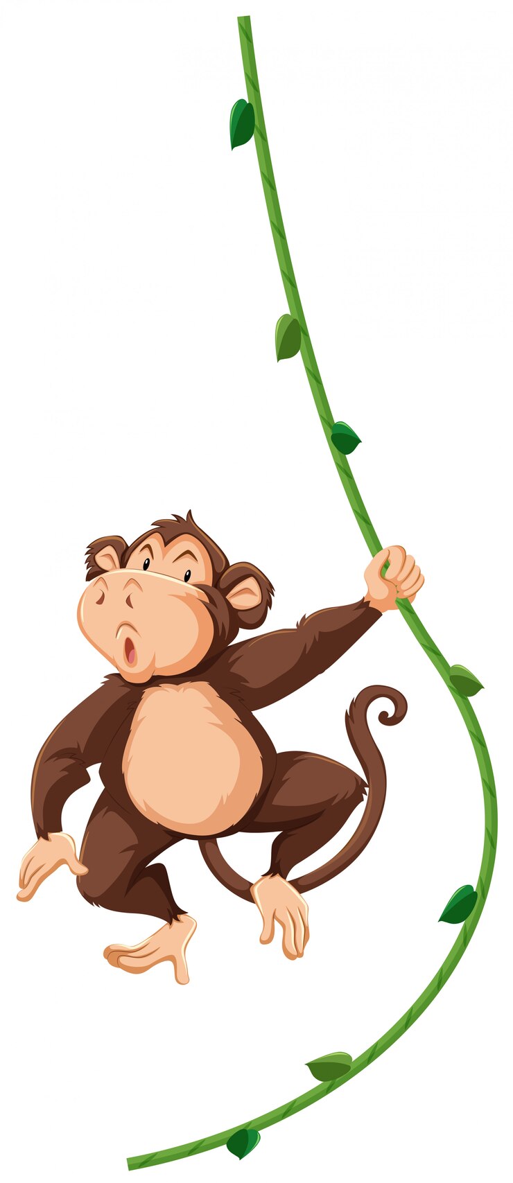 Vector a monkey hanging on vine