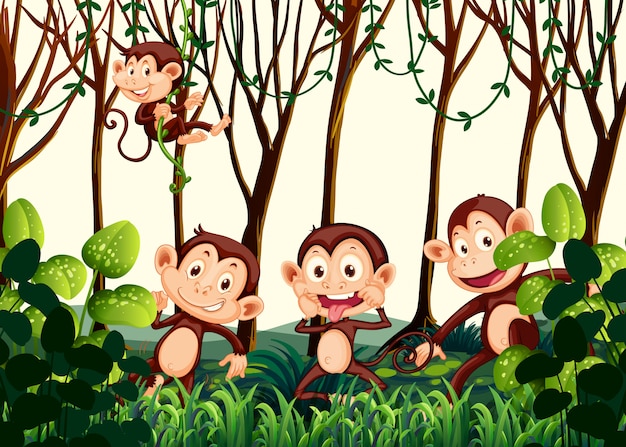 벡터 정글에 사는 원숭이