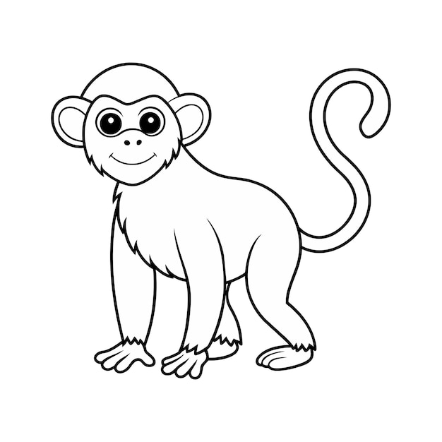 Vector monkey outline on white background