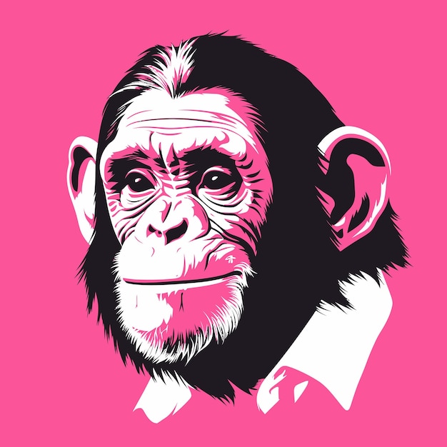 Monkey on Pink Background