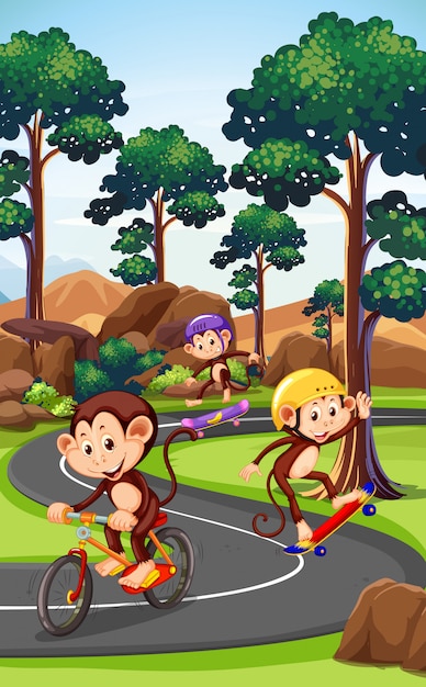 monkey playing extreme sport